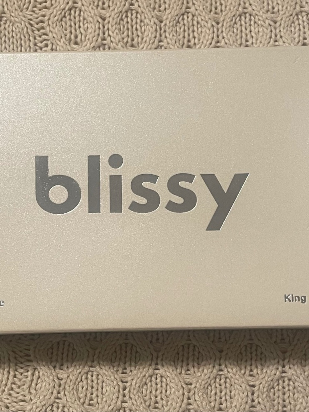 Blissy 100% Pure Silk Pillowcase- King- White